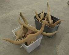 R-1100 Dummy Steer Heads