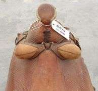 R-679 Cuyamungue Saddle