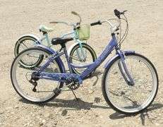 R-920 Bicycles (2)