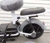 R-1068 Electric Bike