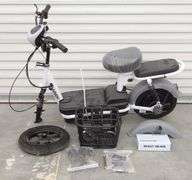 R-1068 Electric Bike