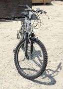 R-932 Vertical Mountain Bike