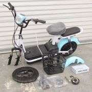 R-1069 Electric Bike
