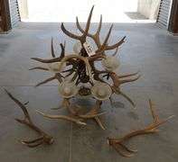 R-343 Elk Antler Chandelier