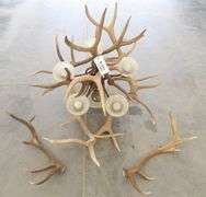 R-343 Elk Antler Chandelier