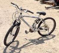 R-932 Vertical Mountain Bike