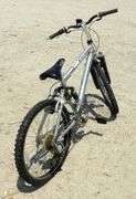 R-932 Vertical Mountain Bike