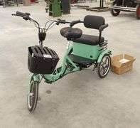R-1137 Vogue Electric Tricycle