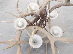 R-343 Elk Antler Chandelier