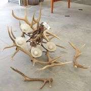 R-343 Elk Antler Chandelier