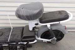 R-1068 Electric Bike