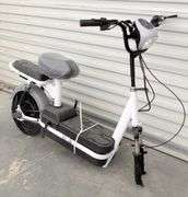 R-1068 Electric Bike