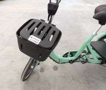 R-1137 Vogue Electric Tricycle