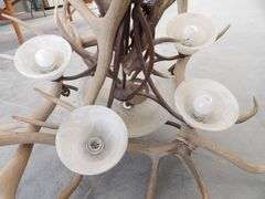 R-343 Elk Antler Chandelier