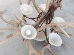 R-343 Elk Antler Chandelier