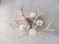 R-343 Elk Antler Chandelier