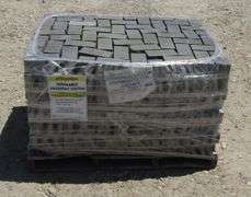 R-1165 Landscape Pavers