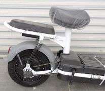 R-1068 Electric Bike