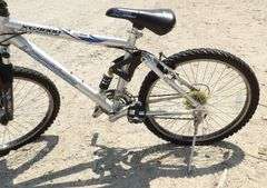 R-932 Vertical Mountain Bike