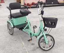 R-1137 Vogue Electric Tricycle