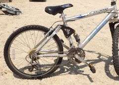 R-932 Vertical Mountain Bike