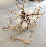 R-343 Elk Antler Chandelier