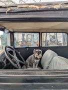 R-908 1930 Ford Model A Two Door Sedan