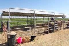R-1297 Freestanding Shed Row