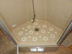 U-1267 2005 Monaco Dynasty Motor Coach