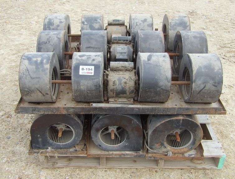 B-194  Squirrel Fans