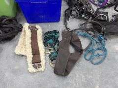 P-117  Equestrian Supplies