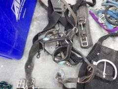 P-117  Equestrian Supplies