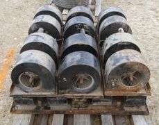 B-194  Squirrel Fans