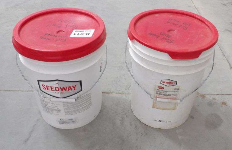 B-911  Seedway 2025 Red Onion Seed