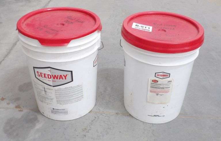 B-911  Seedway 2025 Red Onion Seed