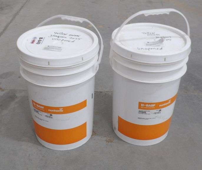 B-849 Nunhems 2025 Onion Seed