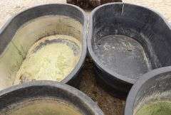 B-1114  Livestock Tanks