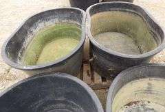 B-1114  Livestock Tanks