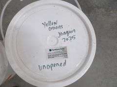 B-849 Nunhems 2025 Onion Seed