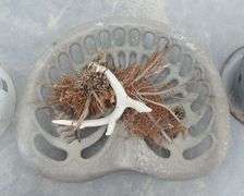 B-1028  Yard Art + Bird House + Antlers