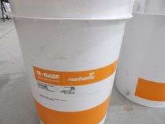 B-849 Nunhems 2025 Onion Seed