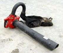 B-1091  Toro Leaf Blower