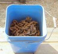 B-427  Jacks & Hitches & Chain