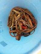 B-591 Horse Tack & Livestock Supplies