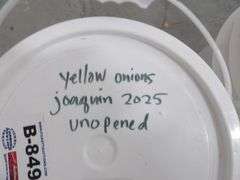 B-849 Nunhems 2025 Onion Seed