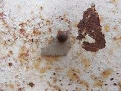 B-458 SPCN Utility Trailer