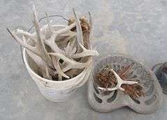 B-1028  Yard Art + Bird House + Antlers