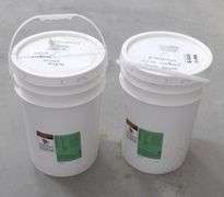 B-849 Nunhems 2025 Onion Seed