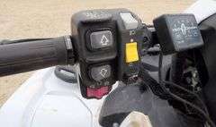 B-1070  2016 Honda Rubino TRX500 4-Wheeler