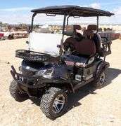 M-1166 SDLGC80 Electric Golf Cart